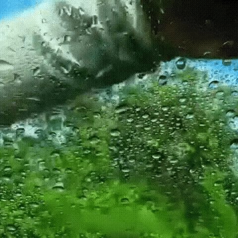 Cepillo antiempañante deluxe - restaura tus vidrios y evita accidentes - HOUSE SHOP