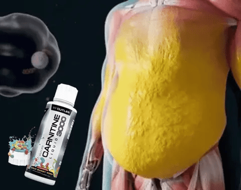 Carnitine 3000 ™ Original 🇺🇸 + ejercitador de manos+ebook🎁